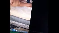 Abspielen Genus Potosina Hund betrügt mich