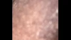 Abspielen BBW-Kätzchen füttern