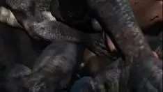 تشغيل تفصل تنورة المسافر القبور 3 (مجمعة) عن كل ctredacts إلى nighthungerfm