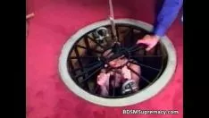 Reproduzir Processo bdsm com gato gatinho desleixado é conquistado